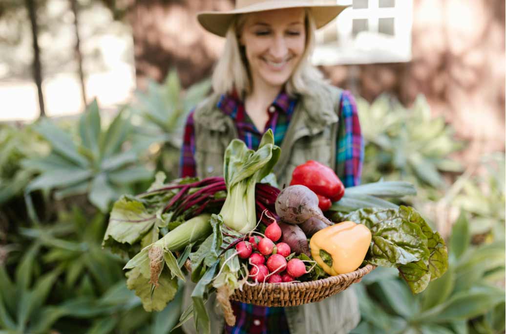 Time‑Saving Garden Solutions for Busy Lives