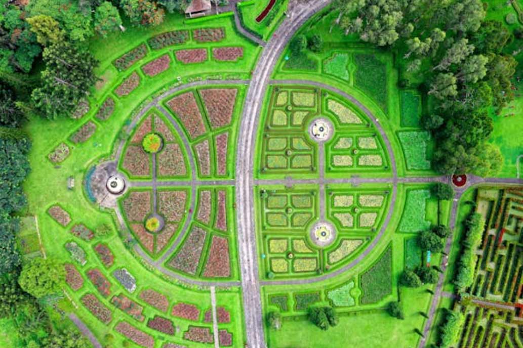 Top Gardening & Landscaping Trends for 2025: Transform Your Outdoor Space