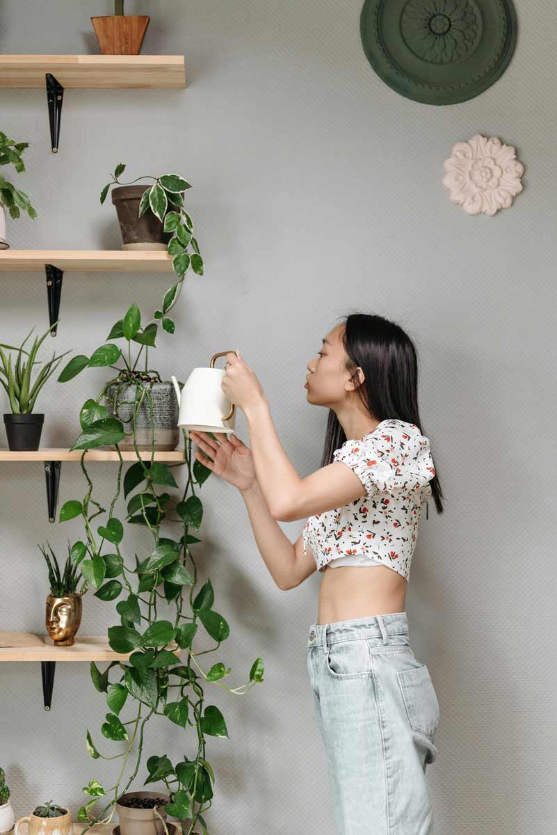 The Ultimate Guide to Transforming Your Home in 2025: Top Trends and Expert Tips