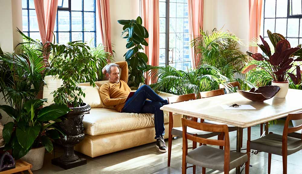 -hero-man-home-with-houseplants