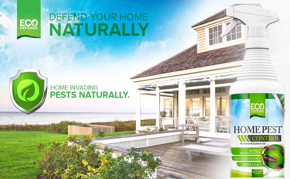 Eco-Safe Pest Control for Modern Homes