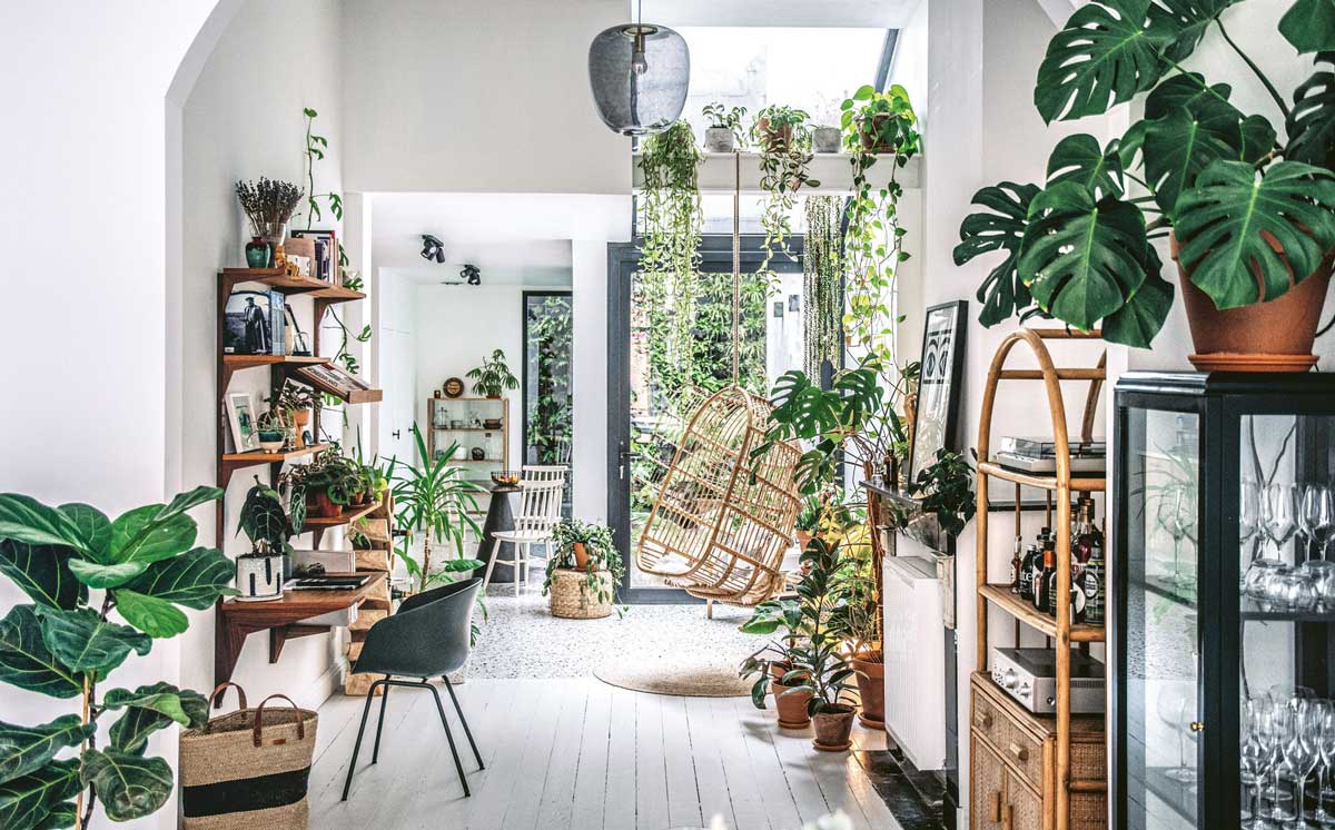 fantastic house with green plants