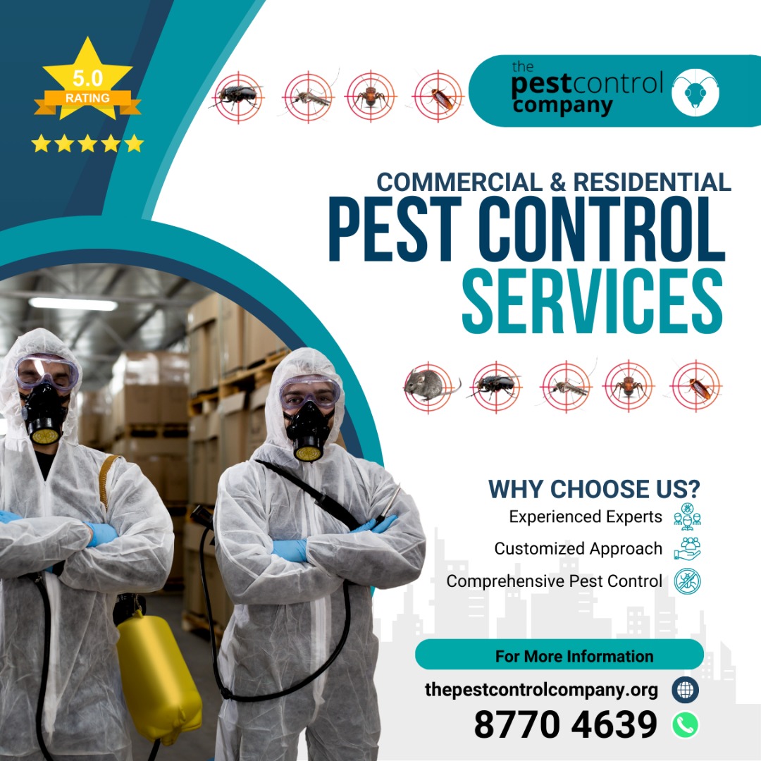 all_pest_issues__beetles__rat
