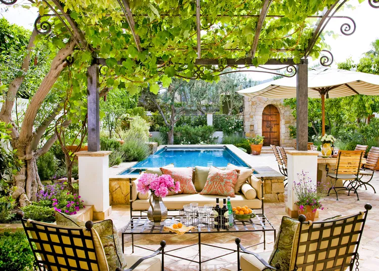 beautiful-backyard