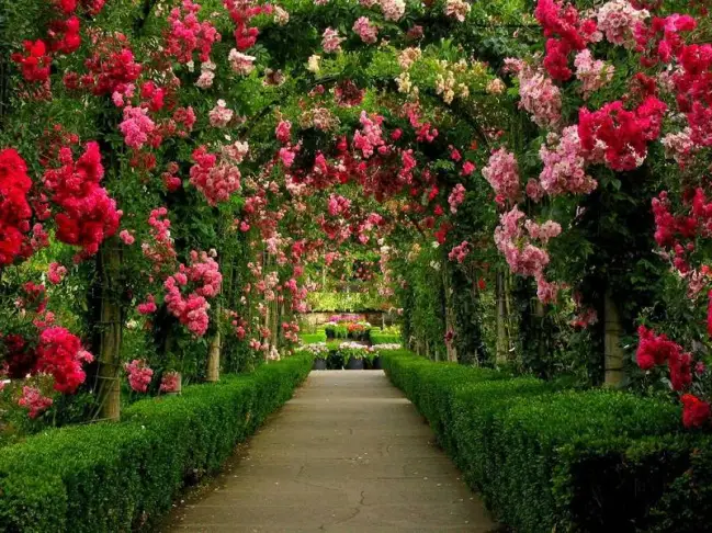 butchart-gardens lovable garden