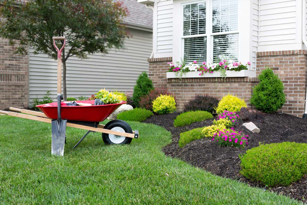 house-with-landscaping-scaled