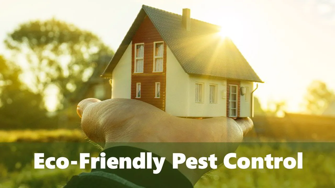 killing pests