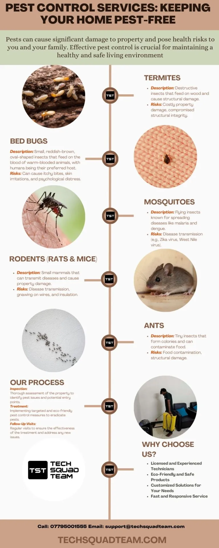 Infographic : Pest Control Services: Keeping Your Home Pest