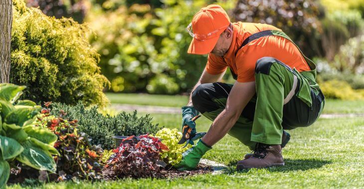 Top Gardening & Landscaping Trends 2025