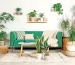 indoor green home-plants