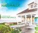 Eco-Safe Pest Control for Modern Homes