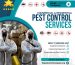 all_pest_issues__beetles__rat